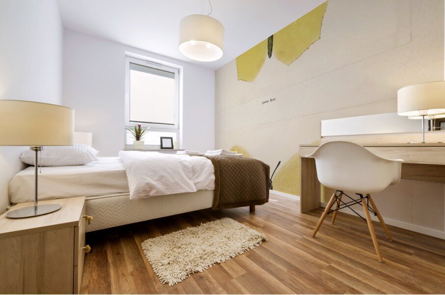 Angled Sulphur Gonepteryx Maerula from Moths and butterflies of the United States 1900 by Sherman F. Denton 1856-1937.  Mural print