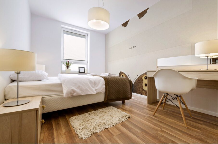 Wood-nymph Satyrus Alope from Moths and butterflies of the United States 1900 by Sherman F. Denton 1856-1937.  Mural print