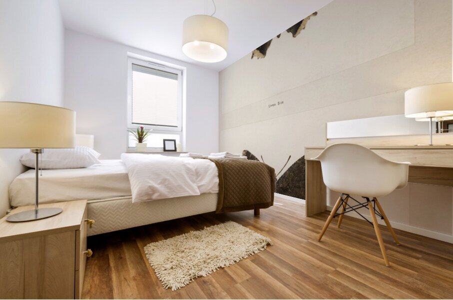 Mourning Cloak Vanessa Antiopa from Moths and butterflies of the United States 1900 by Sherman F. Denton 1856-1937.  Mural print