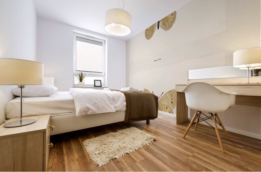 Eyed Brown Butterfly Neonympha Canthus from Moths and Butterflies of the United States 1900 by Sherman F. Denton 1856-1937.  Mural print