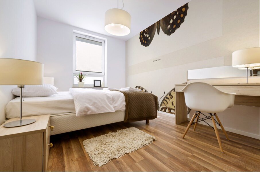 Regal Fritillary Argynnis Idalia from Moths and butterflies of the United States 1900 by Sherman F. Denton 1856-1937.  Mural print