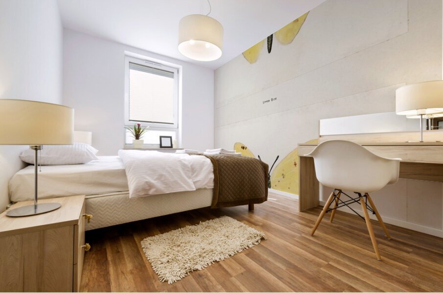 Cloudless Sulphur Callidryas Eubule from Moths and butterflies of the United States 1900 by Sherman F. Denton 1856-1937.  Mural print