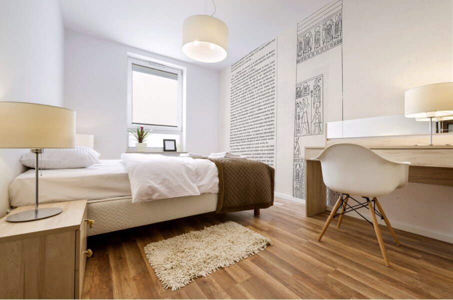 Ancient Egyptian decorative motif. 1888 edition Lornement Polychrome by Albert Racine 1825–1893. Mural print