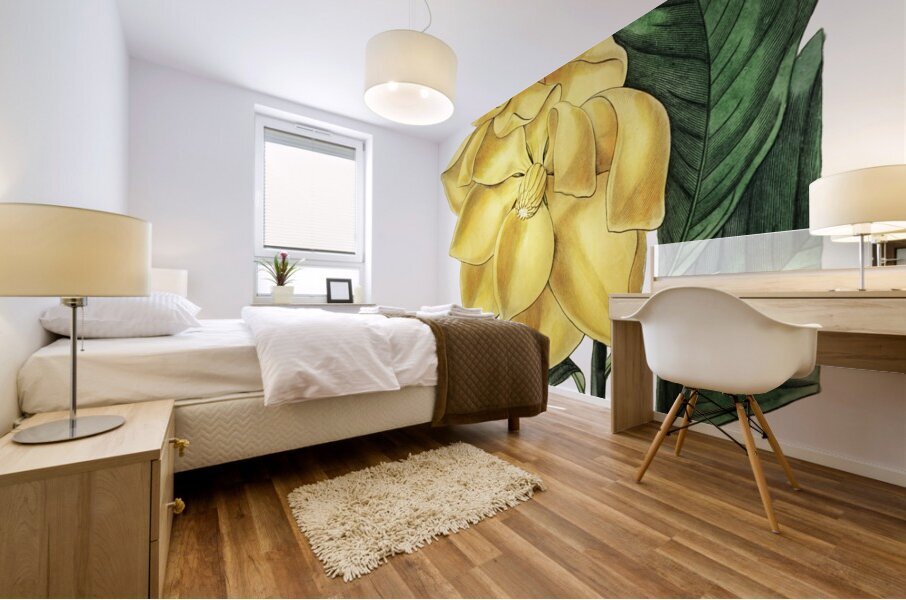 De Candolles talaum tree from Edwards Botanical Register 1829-1847  by Sydenham Edwards John Lindley and James Ridgway. Mural print