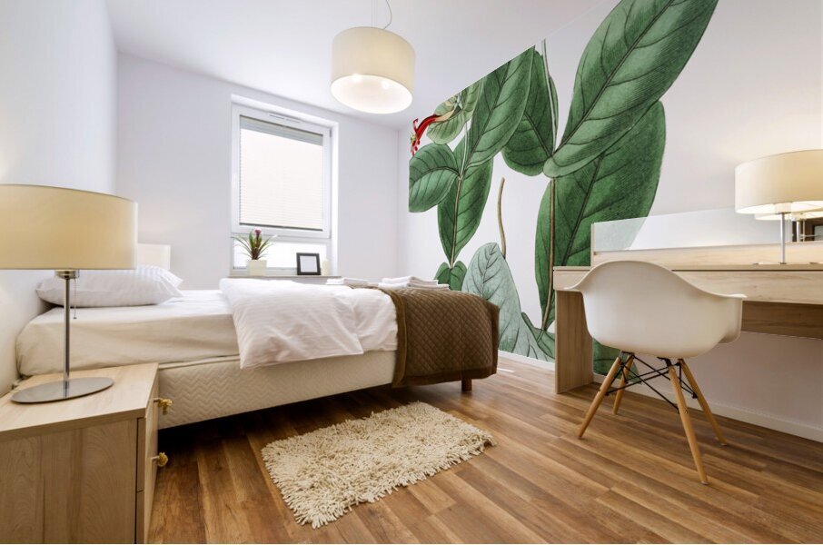 The north-west honeysuckle from Edwards Botanical Register 1829-1847  by Sydenham Edwards John Lindley and James Ridgway. Mural print