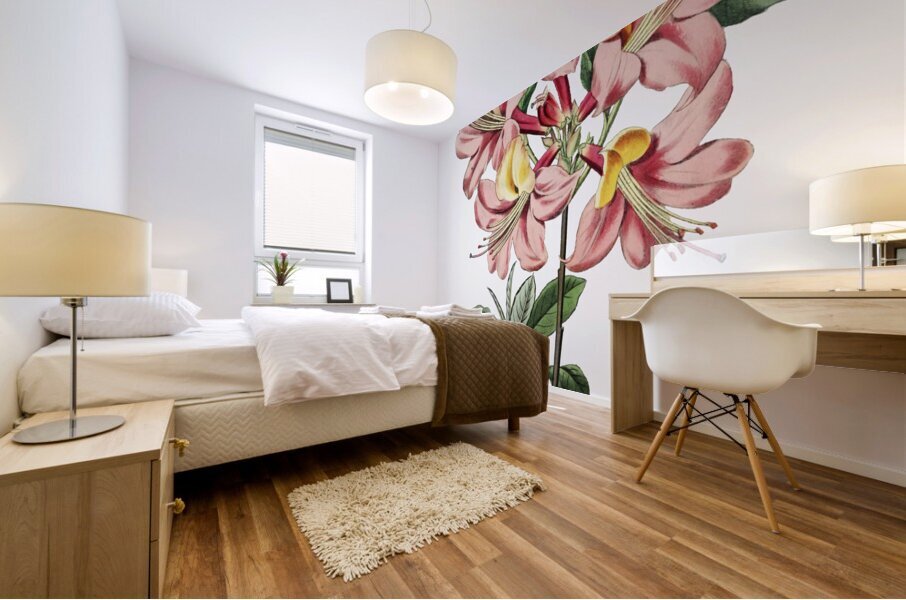 Changeable pontic azalea from Edwards Botanical Register 1829-1847  by Sydenham Edwards John Lindley and James Ridgway. Mural print