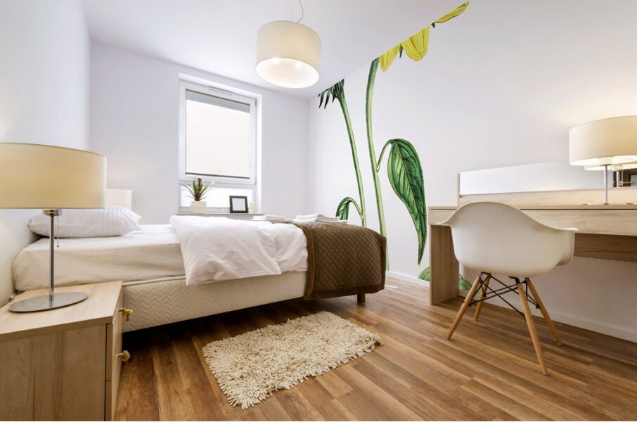 Trumpet stalked sunflower from Edwards Botanical Register 1829-1847  by Sydenham Edwards John Lindley and James Ridgway. Mural print