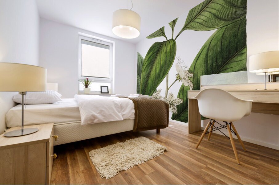 Large-leaved tristania from Edwards Botanical Register 1829-1847  by Sydenham Edwards John Lindley and James Ridgway. Mural print