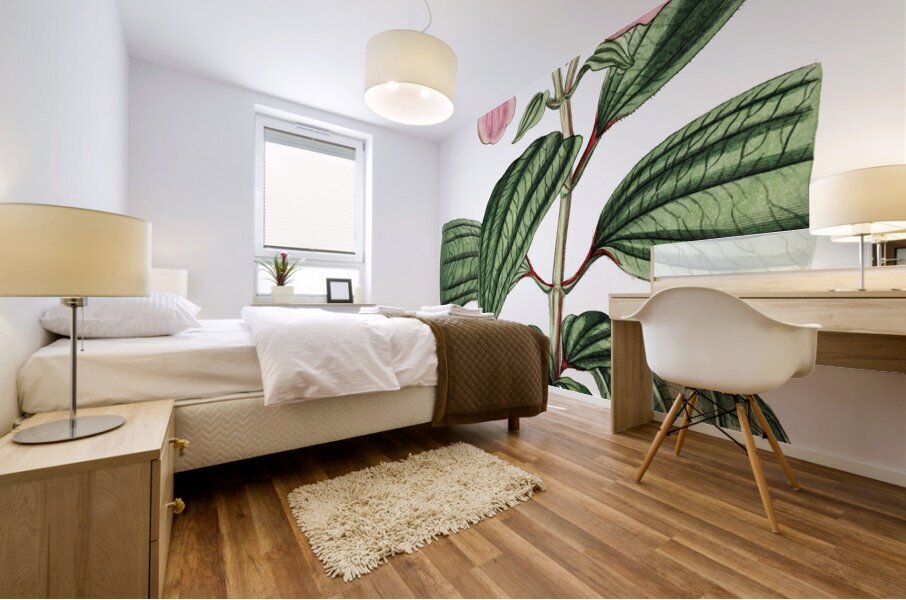 Starry osbeckia from Edwards Botanical Register 1829-1847  by Sydenham Edwards John Lindley and James Ridgway. Mural print