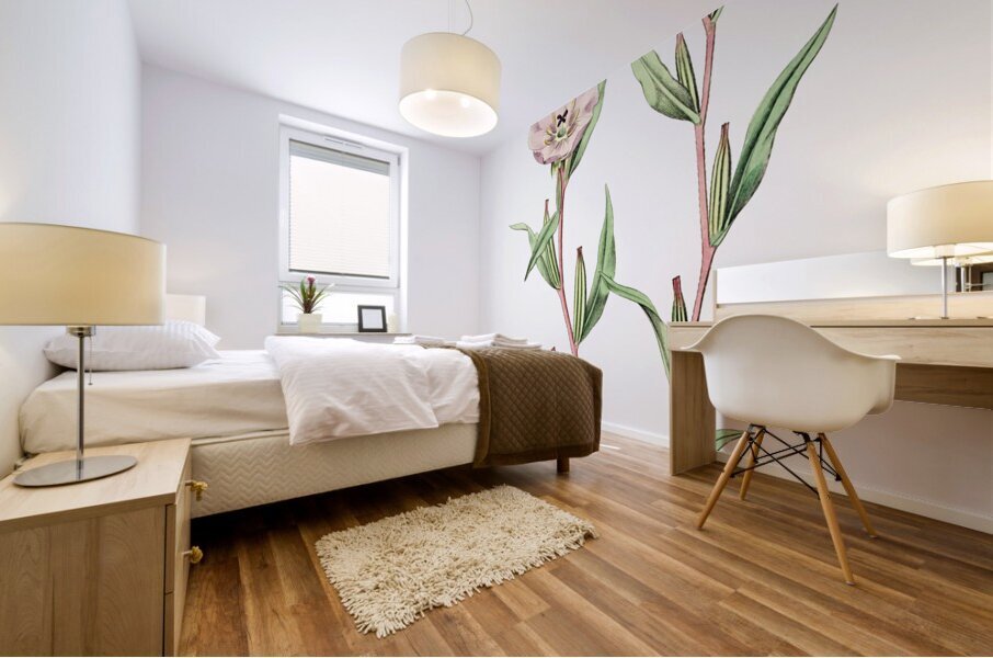 Pale Corona Amaryllis from Edwards Botanical Register 1829-1847  by Sydenham Edwards John Lindley and James Ridgway. Mural print