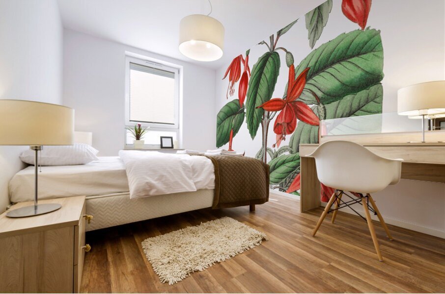 Standishs fuchsia from Edwards Botanical Register 1829-1847  by Sydenham Edwards John Lindley and James Ridgway. Mural print