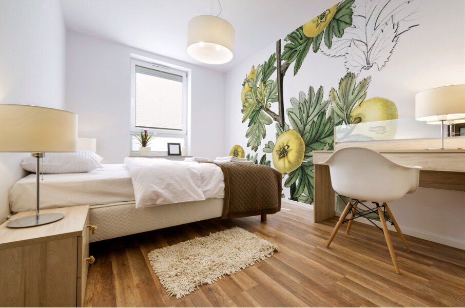 Tansy-leaved hawthorn from Edwards Botanical Register 1829-1847  by Sydenham Edwards John Lindley and James Ridgway. Mural print