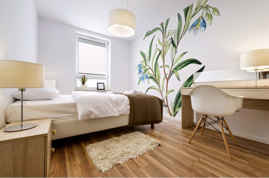 Narrow leaved sollya from Edwards Botanical Register 1829-1847  by Sydenham Edwards John Lindley and James Ridgway. Mural print