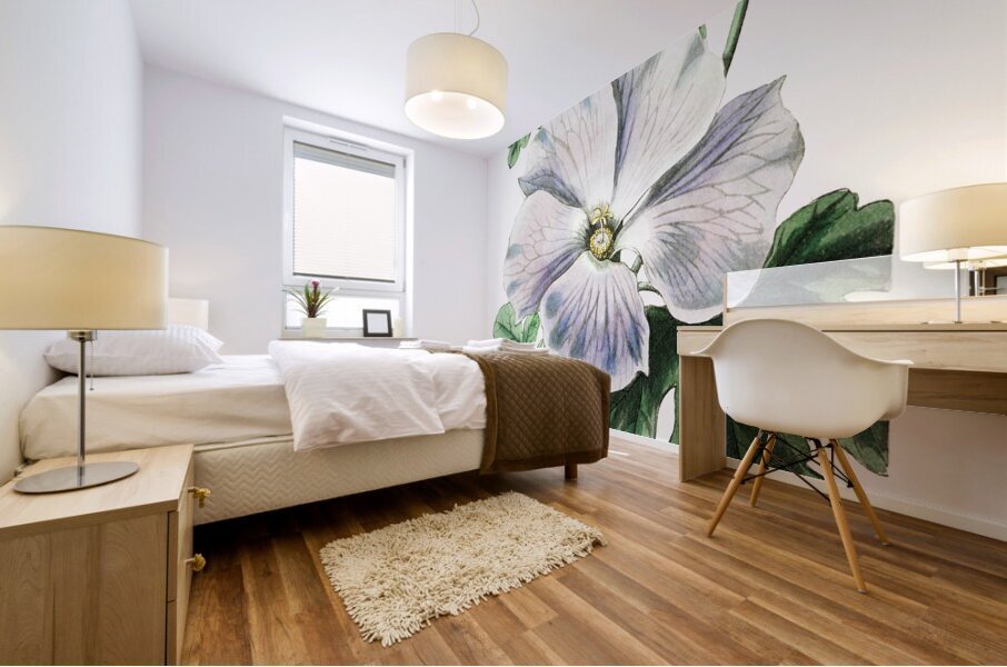 Mrs. Wrays hibiscus from Edwards Botanical Register 1829-1847  by Sydenham Edwards John Lindley and James Ridgway. Mural print