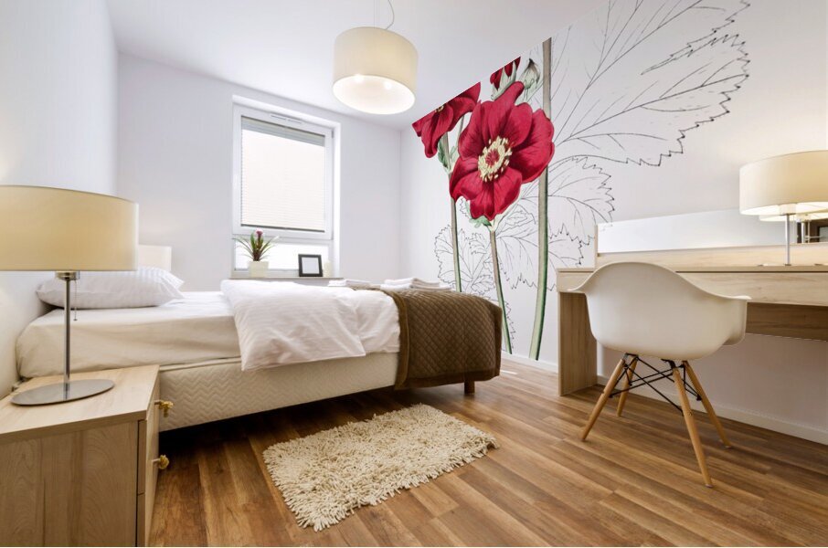 Chilian Guem from Edwards Botanical Register 1829-1847  by Sydenham Edwards John Lindley and James Ridgway. Mural print