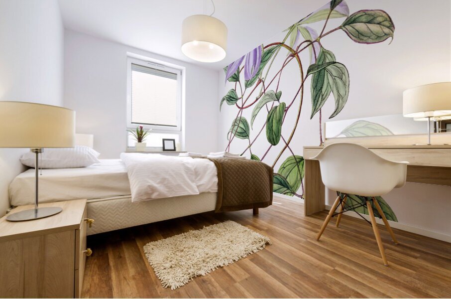 Violet clematis flower from Edwards Botanical Register 1829-1847  by Sydenham Edwards John Lindley and James Ridgway. Mural print