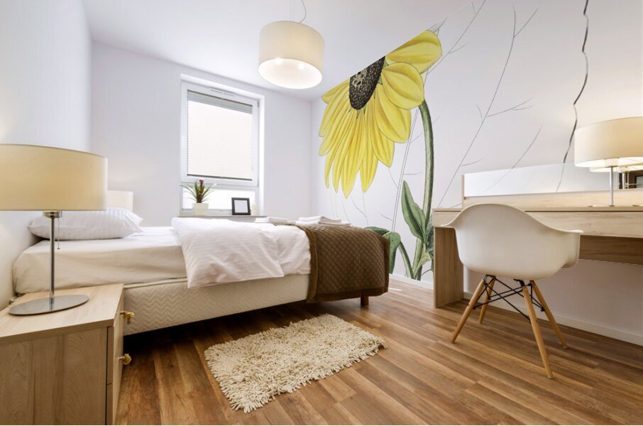 Californian Sunflower from Edwards Botanical Register 1829-1847  by Sydenham Edwards John Lindley and James Ridgway. Mural print