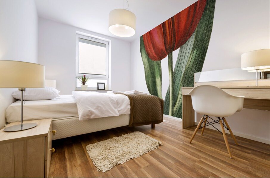 Gesners tulip from Edwards Botanical Register 1829-1847  by Sydenham Edwards John Lindley and James Ridgway. Mural print