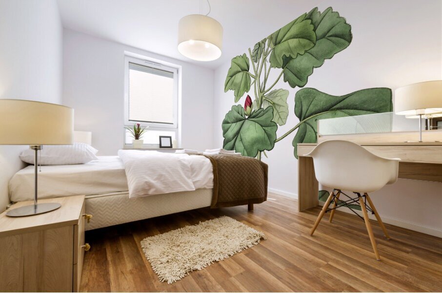 Rhomb leaved palavia from Edwards Botanical Register 1829-1847  by Sydenham Edwards John Lindley and James Ridgway. Mural print