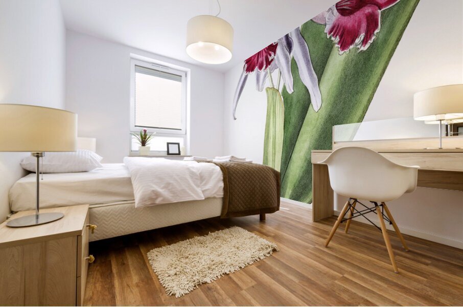 Crimson-lipped cattleya from Edwards Botanical Register 1829-1847  by Sydenham Edwards John Lindley and James Ridgway. Mural print