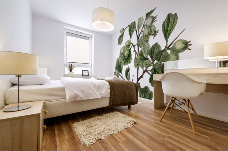 Spathula-leaved thorn from Edwards Botanical Register 1829-1847  by Sydenham Edwards John Lindley and James Ridgway. Mural print