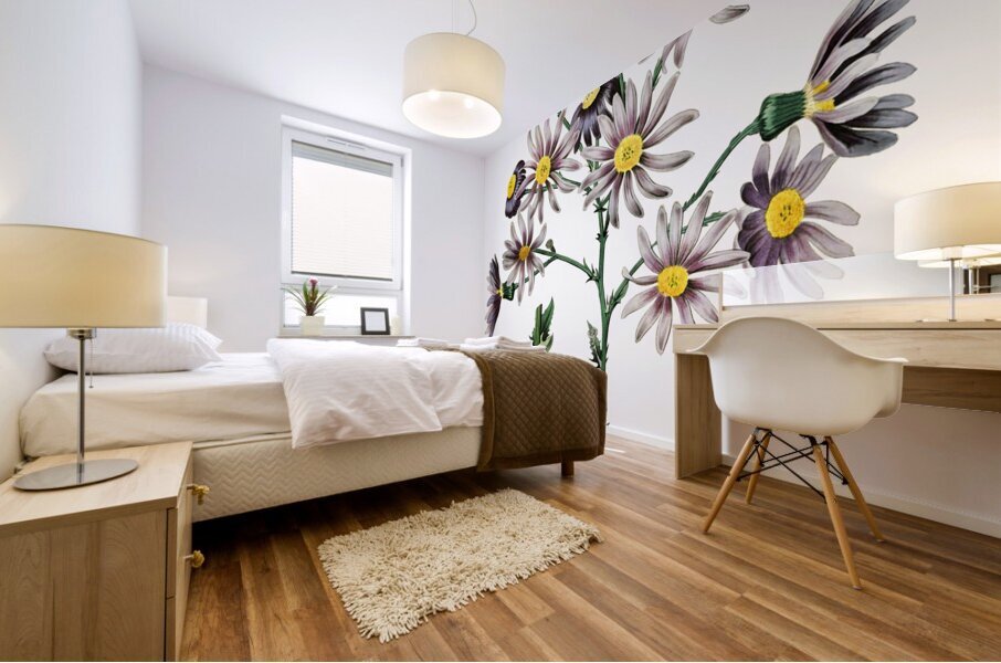 Lilac senecio from Edwards Botanical Register 1829-1847  by Sydenham Edwards John Lindley and James Ridgway. Mural print