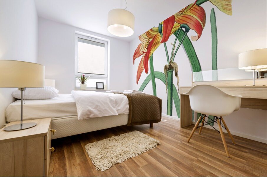 Meadow habranthus from Edwards Botanical Register 1829-1847  by Sydenham Edwards John Lindley and James Ridgway. Mural print