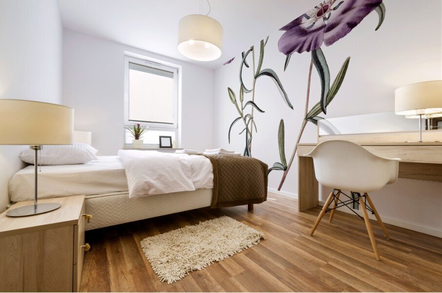 Large Purple Chilian Evening Primrose from Edwards Botanical Register 1829-1847  by Sydenham Edwards John Lindley and James Ridgway. Mural print