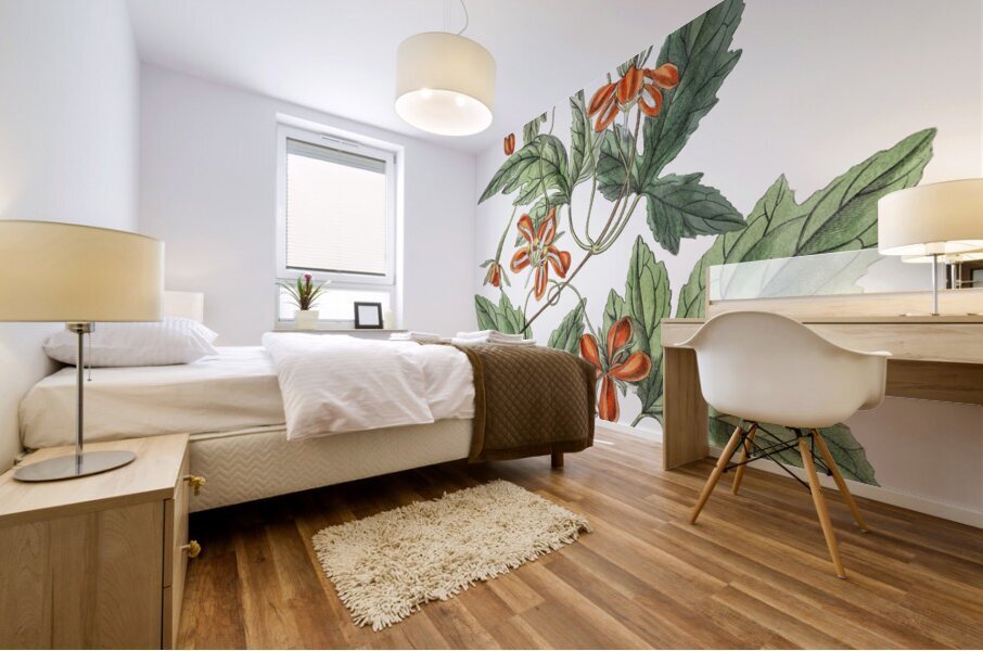 Red loasa from Edwards Botanical Register 1829-1847  by Sydenham Edwards John Lindley and James Ridgway. Mural print