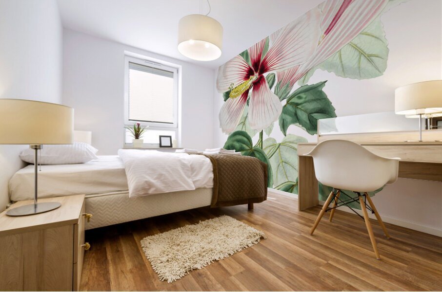 Marsh hibiscus from Edwards Botanical Register 1829-1847  by Sydenham Edwards John Lindley and James Ridgway. Mural print