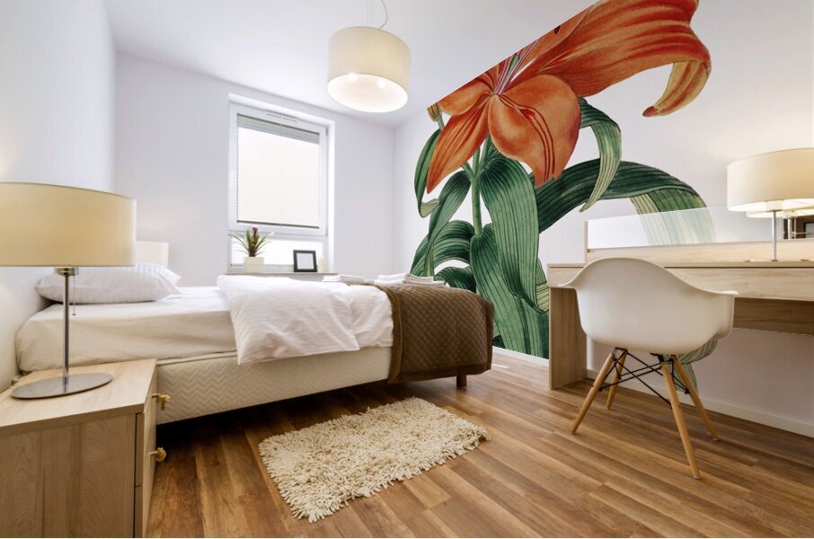 Thunbergs orange lily from Edwards Botanical Register 1829-1847  by Sydenham Edwards John Lindley and James Ridgway. Mural print