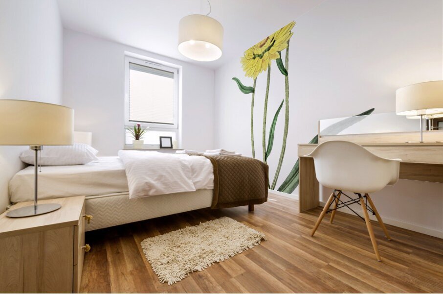 Two-coloured Helichrysum from Edwards Botanical Register 1829-1847  by Sydenham Edwards John Lindley and James Ridgway. Mural print