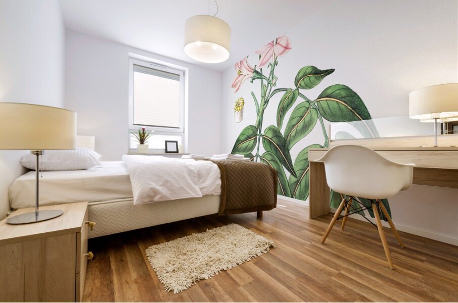 Pink Turraea pinnata from Edwards Botanical Register 1829-1847  by Sydenham Edwards John Lindley and James Ridgway. Mural print