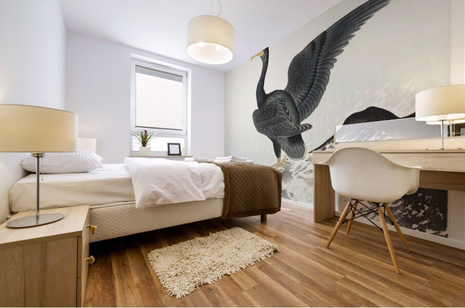 Red mask cormorant on rock 1900 - 1936 by Ohara Koson 1877-1945. Mural print