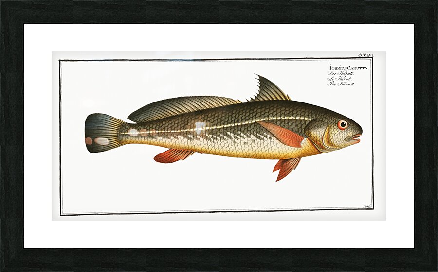 Karutt Johnius Carutta Picture Frame print