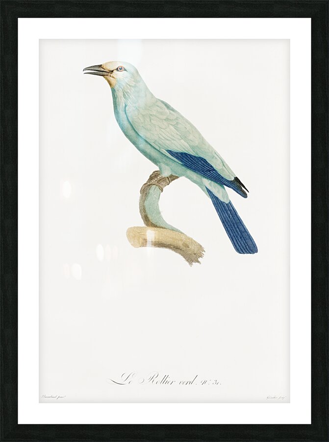 Green roller Picture Frame print