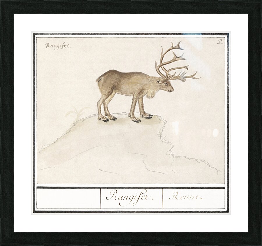 Reindeer in vintage style Picture Frame print