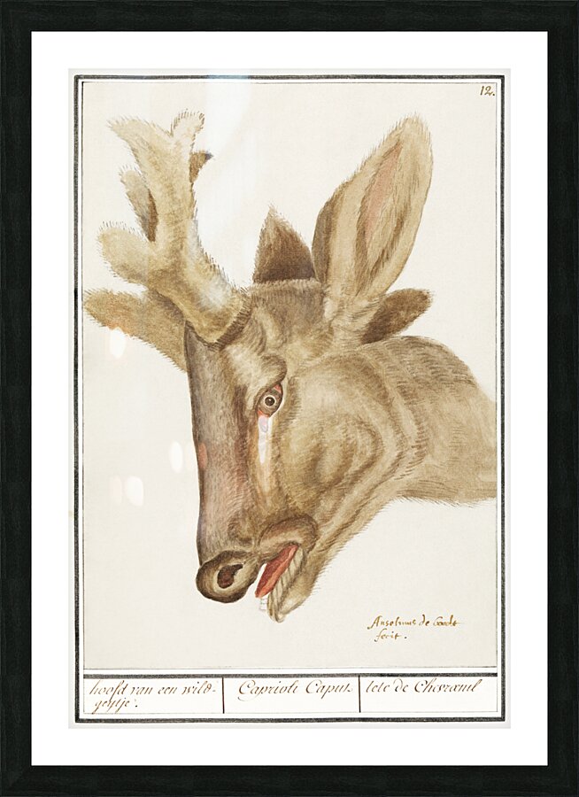 Deer head in vintage style Picture Frame print