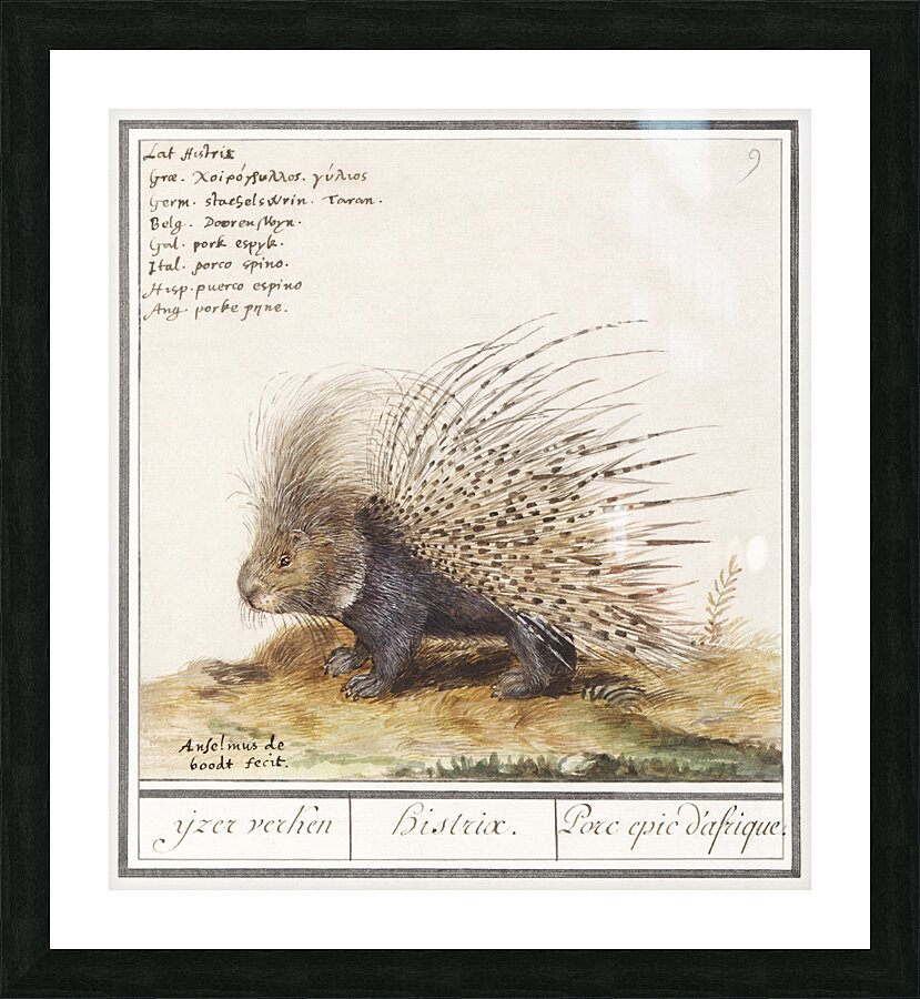 Grape hyacinth in vintage style Picture Frame print