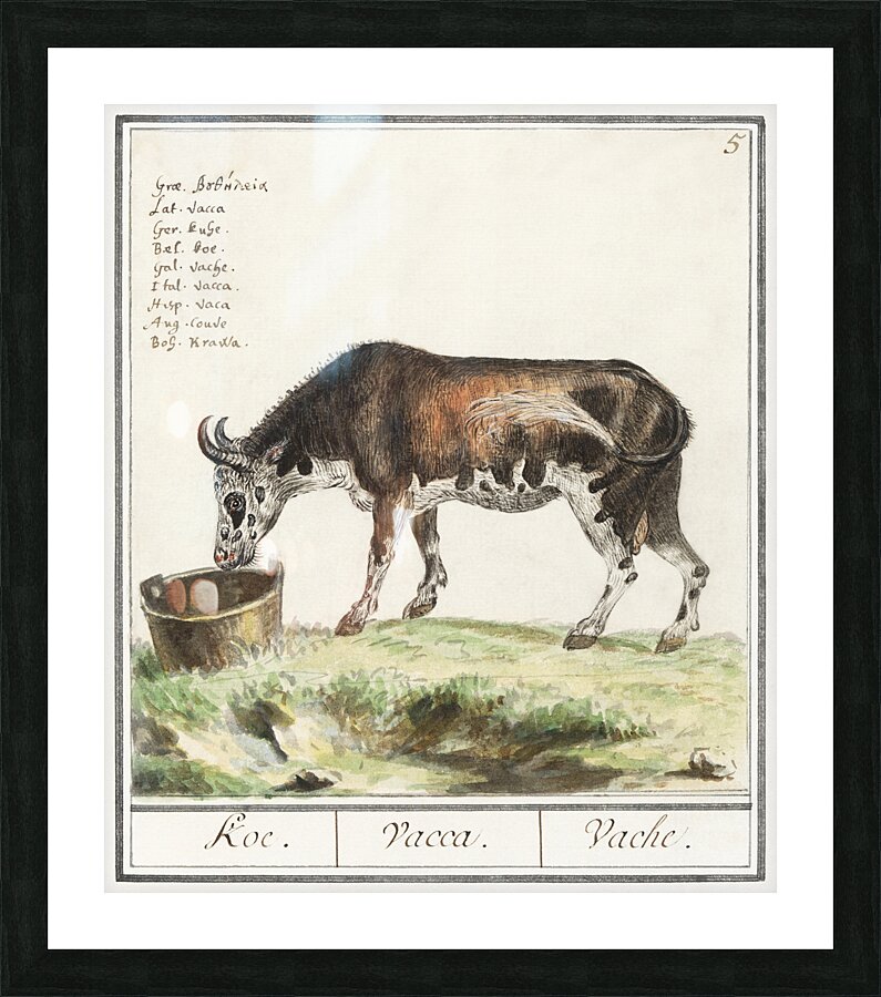 Cow in vintage style Picture Frame print