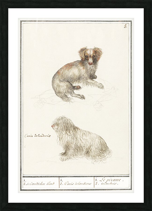 Two dogs in vintage style Picture Frame print