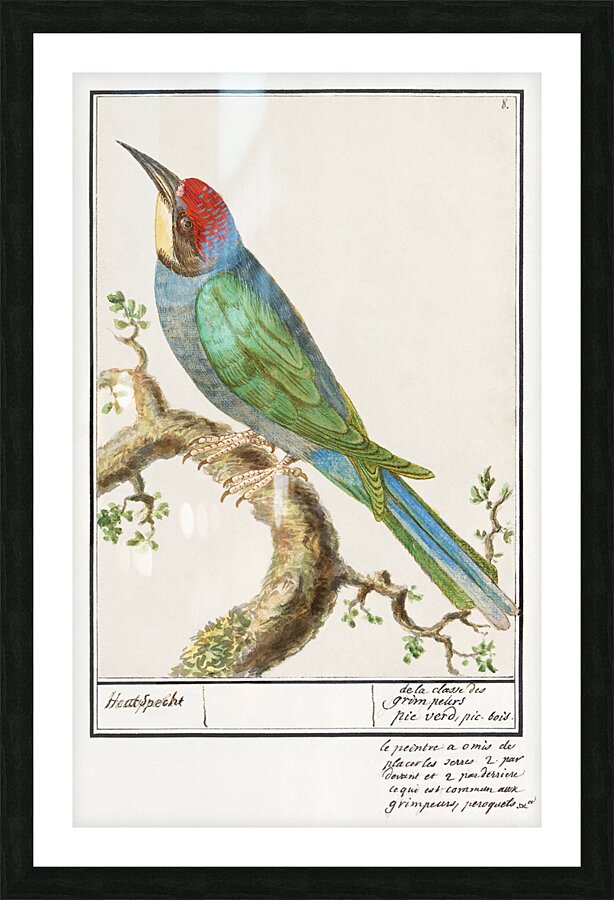 Ibex in vintage style Picture Frame print