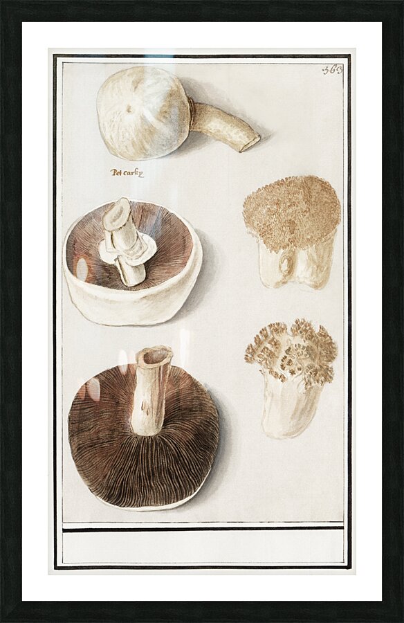 Mushrooms in vintage style Picture Frame print
