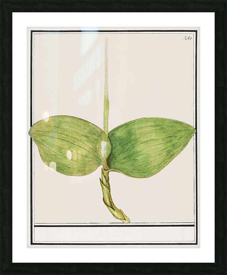 Green foliage in vintage style Picture Frame print