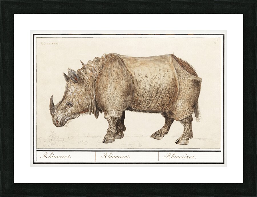 Rhinoceros in vintage style Picture Frame print