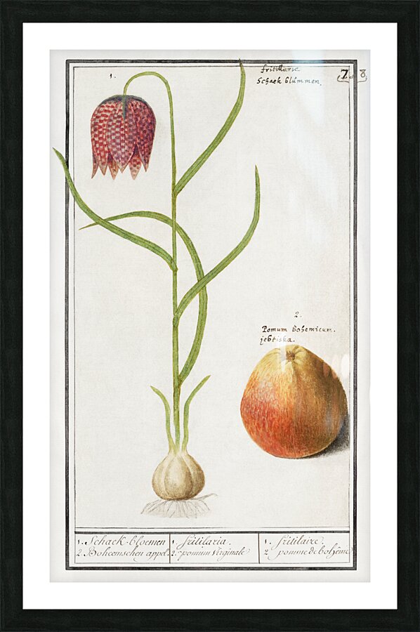 Snakes head flower and apple Picture Frame print