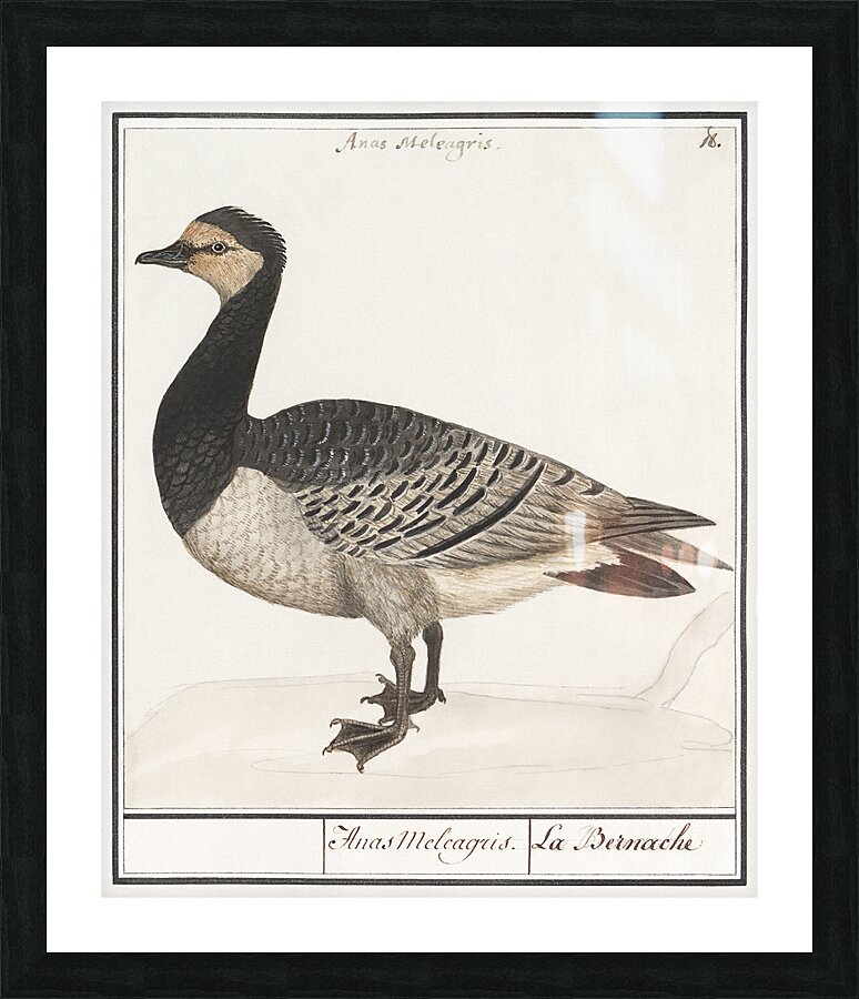 Domestic goose in vintage style Impression et Cadre photo