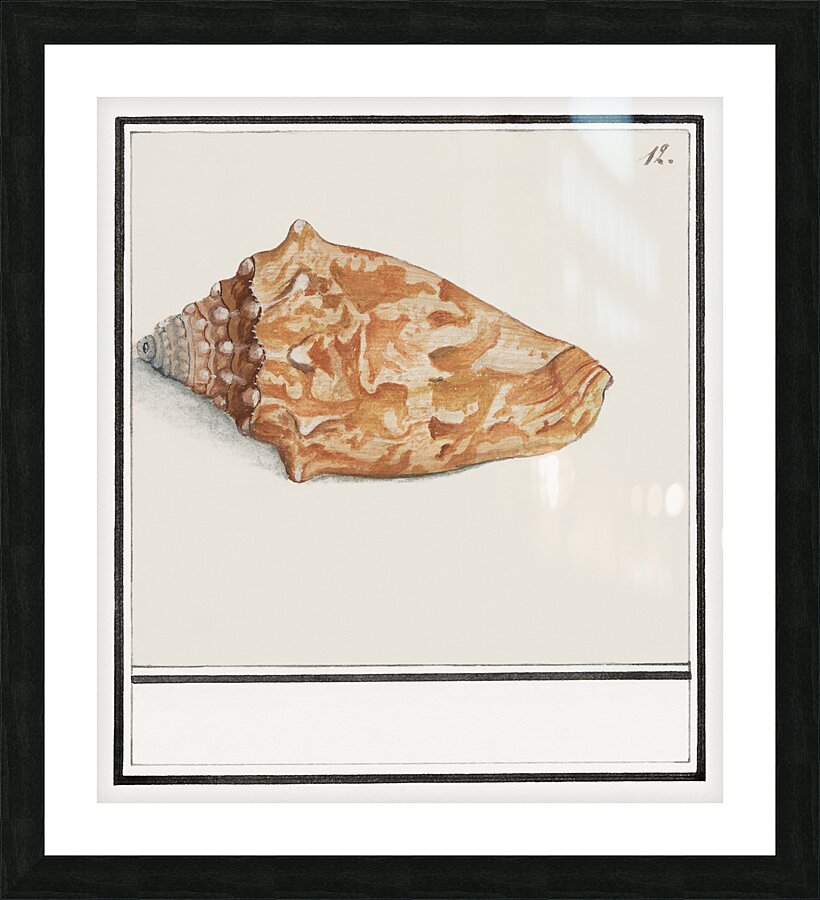 Flamingo in vintage style Picture Frame print