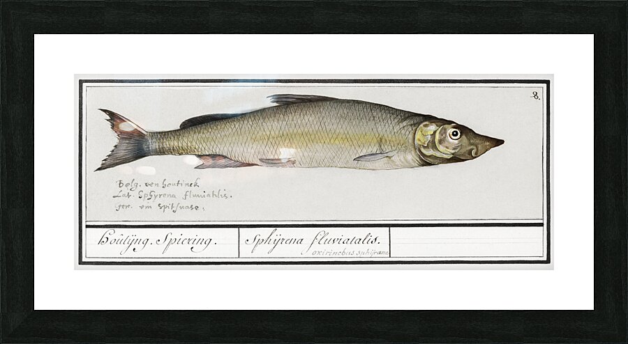 Houting in vintage style Picture Frame print