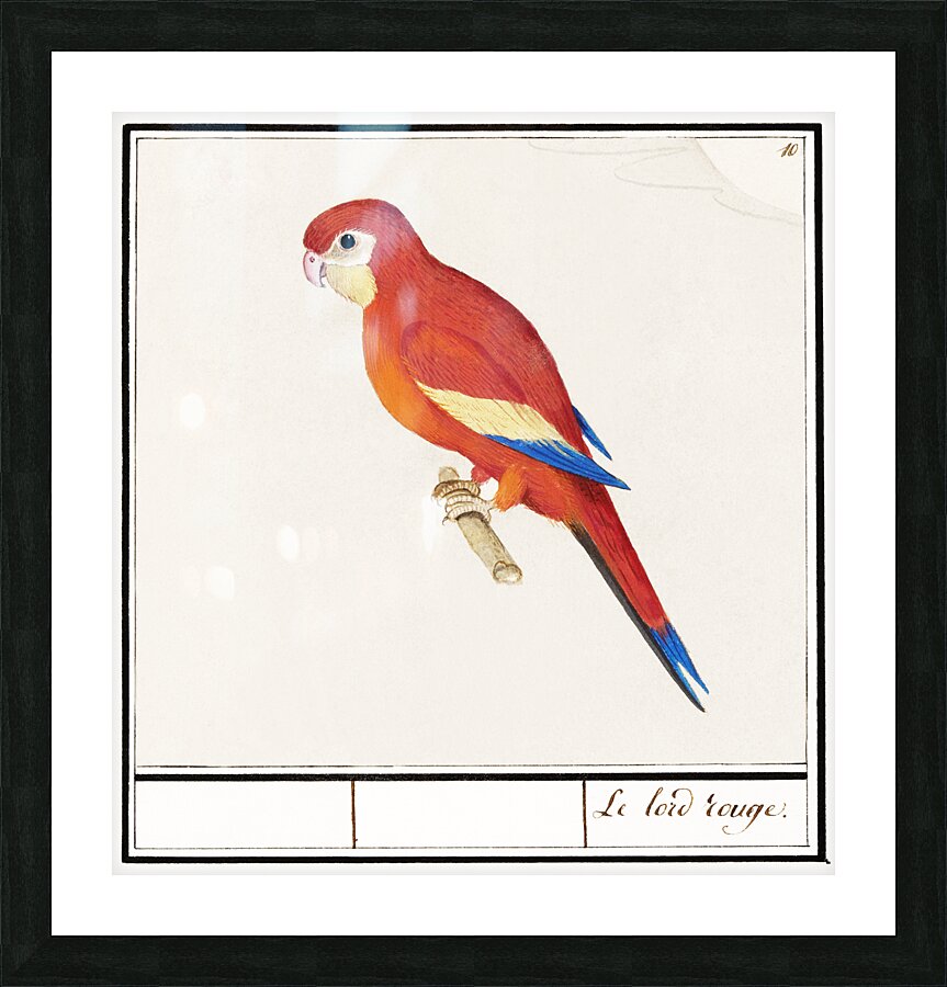 Houting in vintage style Picture Frame print